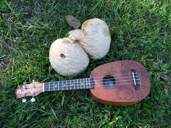 Large double mushroom with soprano 'pineapple' ukulele